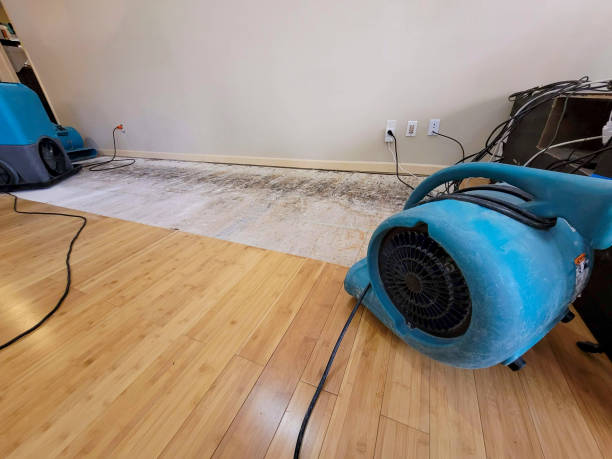 Professional Structural Drying technician working in Palermo, NJ
